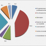 Répartition des chômeurs selon la cause