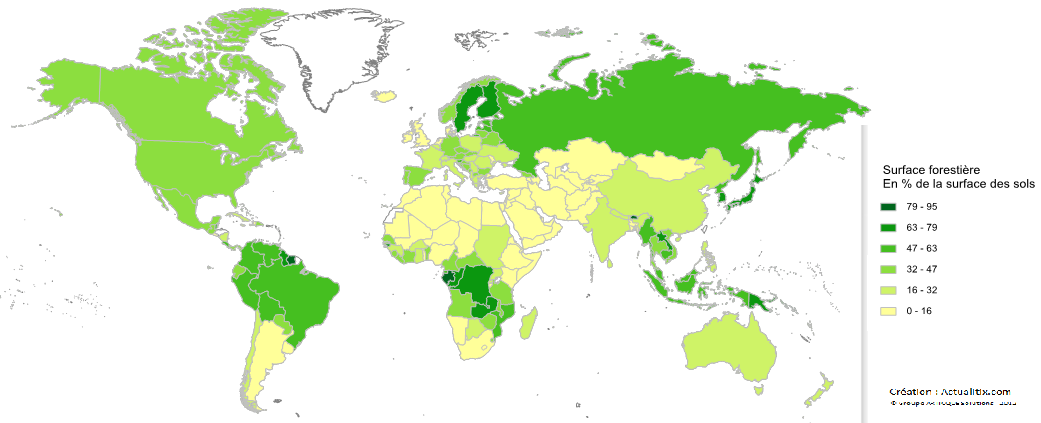 Surface forestière par pays