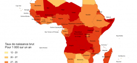 Carte taux de naissance en Afrique