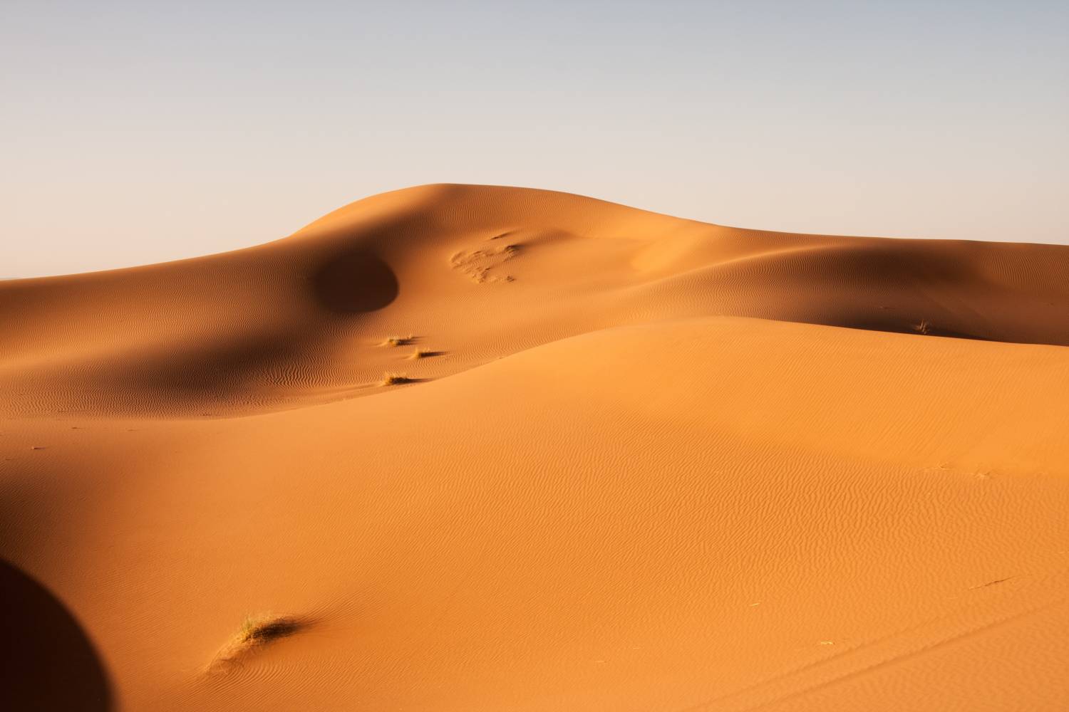 Dune du Sahara - Tourisme en Afrique Dune du Sahara - Tourisme en Afrique