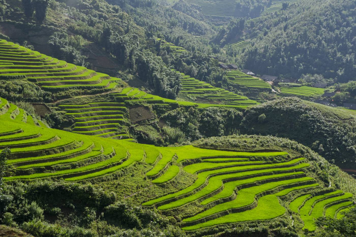 Lune de miel à Sapa au Vietnam Lune de miel à Sapa au Vietnam
