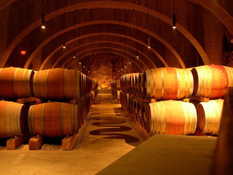 Vacances dans le vin Vacances dans le vin