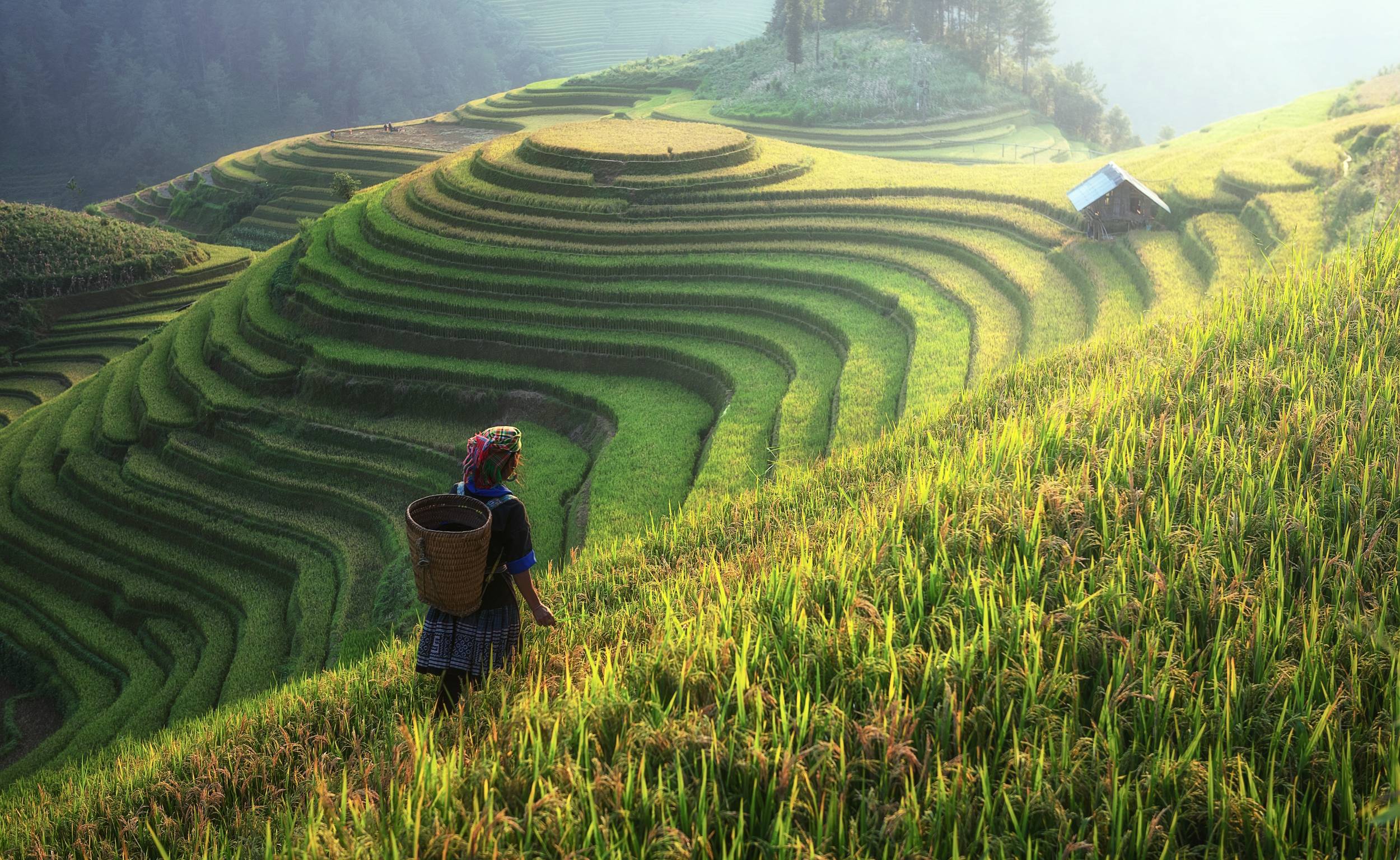 Muong Hoa Valley au Vietnam Muong Hoa Valley au Vietnam