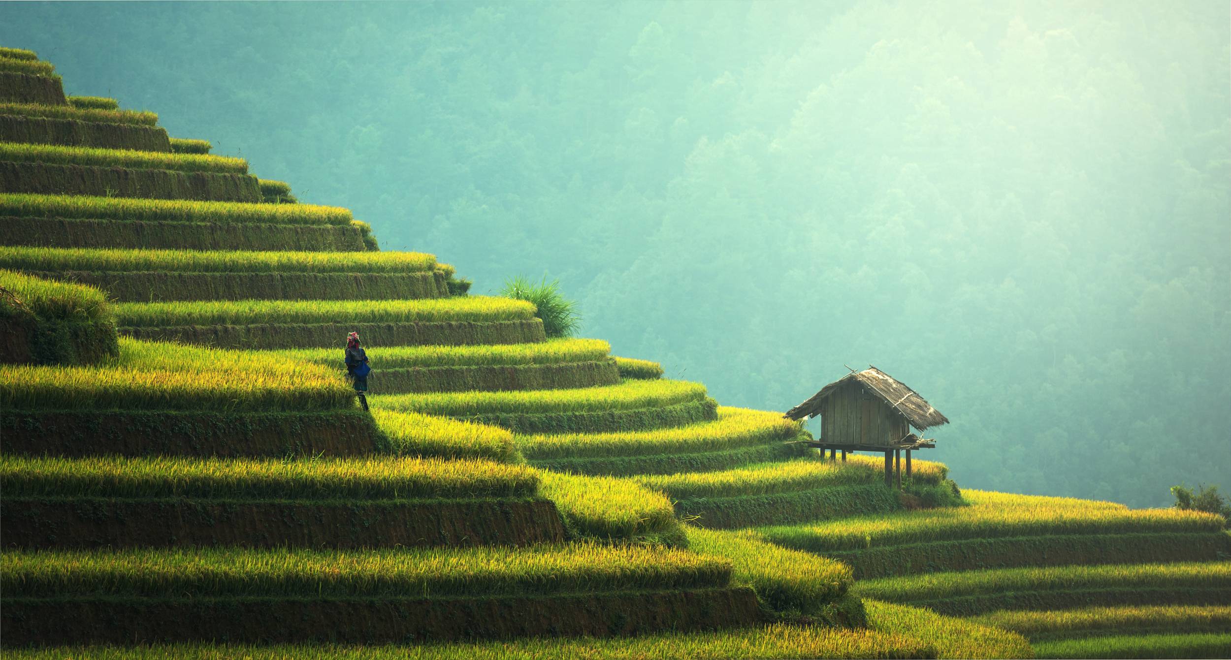 Sapa au Vientam et Muong Hoa Valley Sapa au Vientam et Muong Hoa Valley