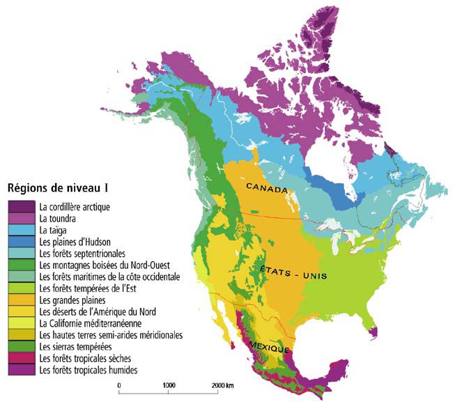 Carte des régions en Amérique du Nord et Centrale Carte des régions en Amérique du Nord et Centrale