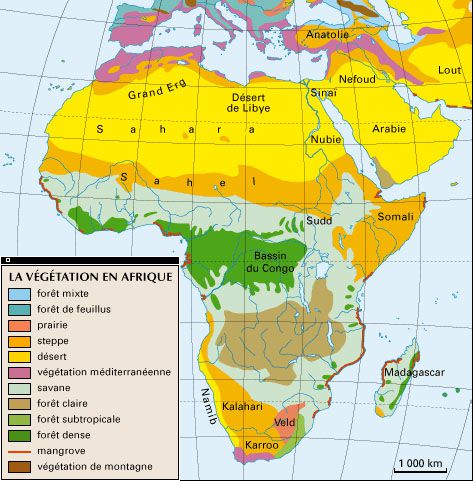 Carte de l'Afrique de la végétation Carte de l'Afrique de la végétation