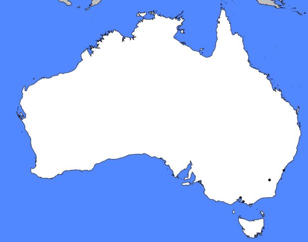 Carte vierge de l'Australie