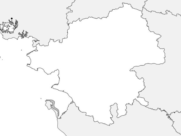 Carte vierge de la Loire Atlantique