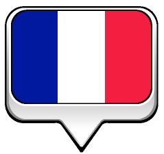 Drapeau bulle de la France Drapeau bulle de la France