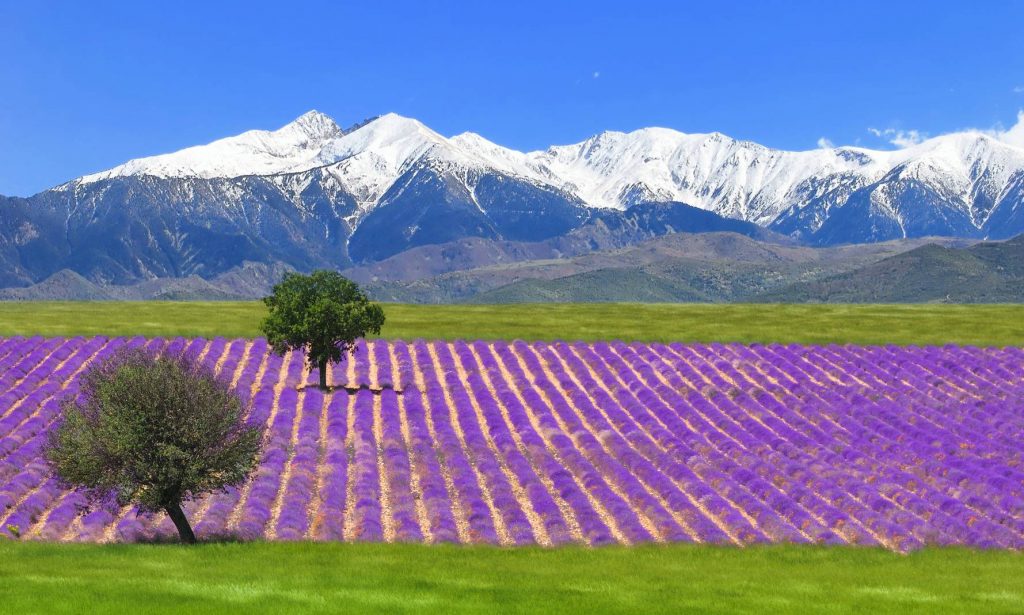 Préalpes sur le plateau de Valensole