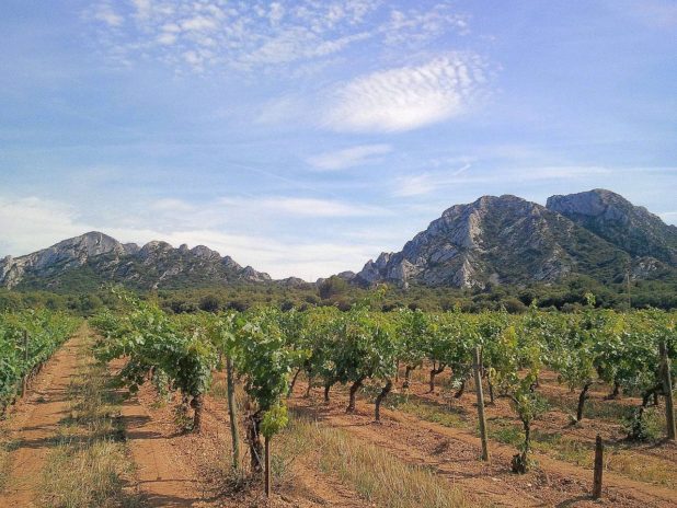 Le massif des Alpilles à proximité de Saint-Rémy de Provence Le massif des Alpilles à proximité de Saint-Rémy de Provence