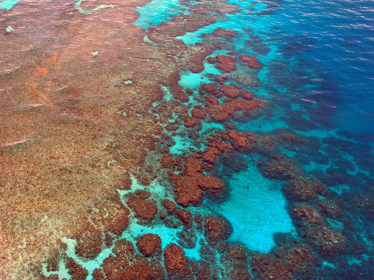 Grande barrière de corail Un paysage idyllique en Océanie