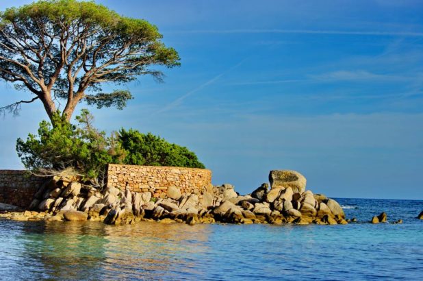 Paysage à Porto Vecchio Paysage à Porto Vecchio