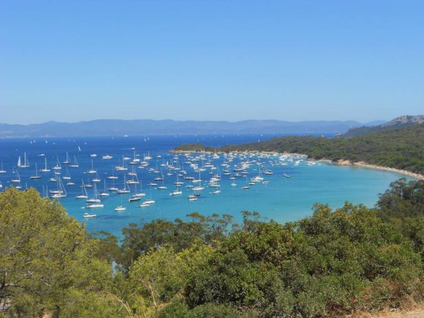 Paysage sur l'île de Porquerolles Paysage sur l'île de Porquerolles