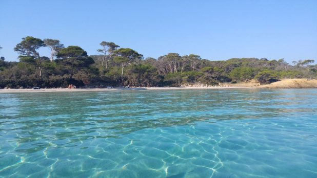 Plages à Porquerolles Plages à Porquerolles